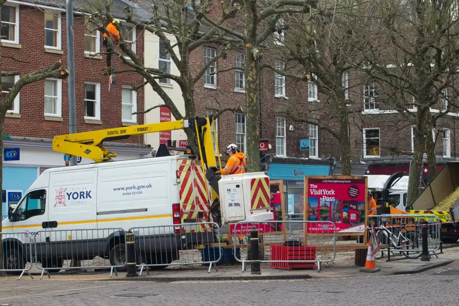 Benefits of Emergency Tree Services