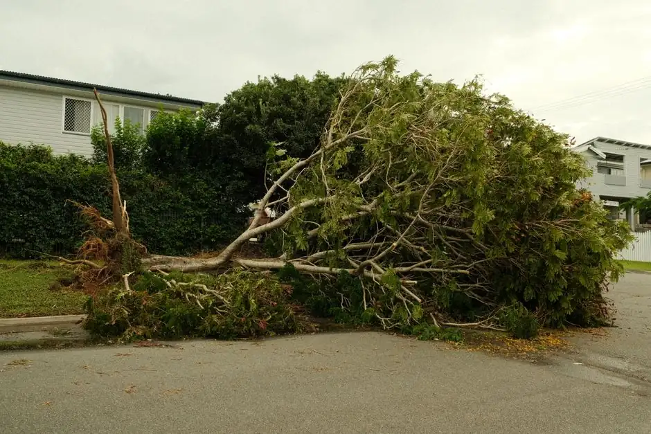 Benefits of Land Clearing Services