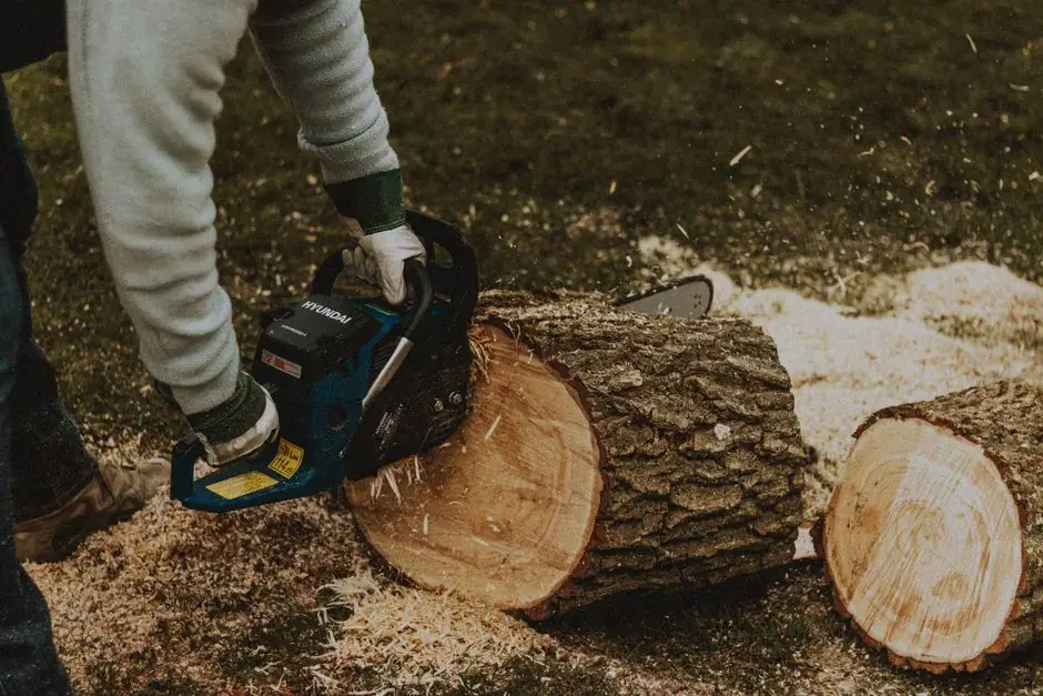 Benefits of Stump Grinding and Removal