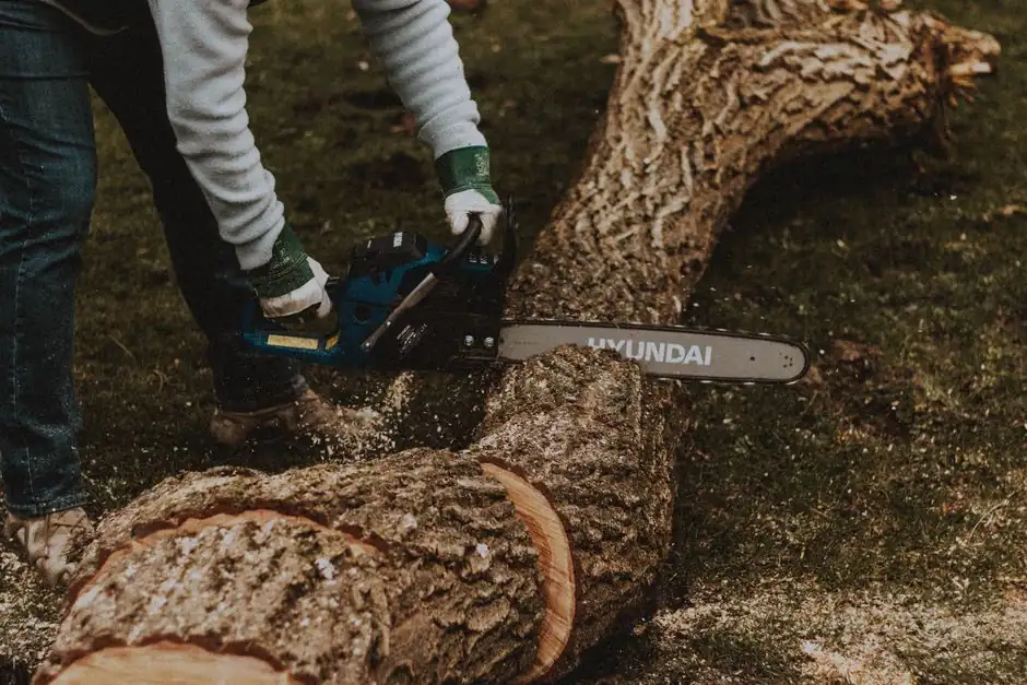 Benefits of Tree Removal Services