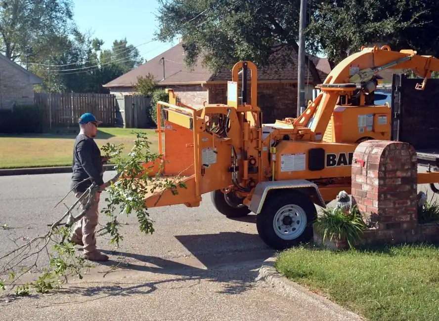 Commercial Tree Service