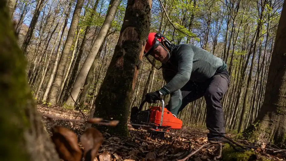 Commercial Tree Service