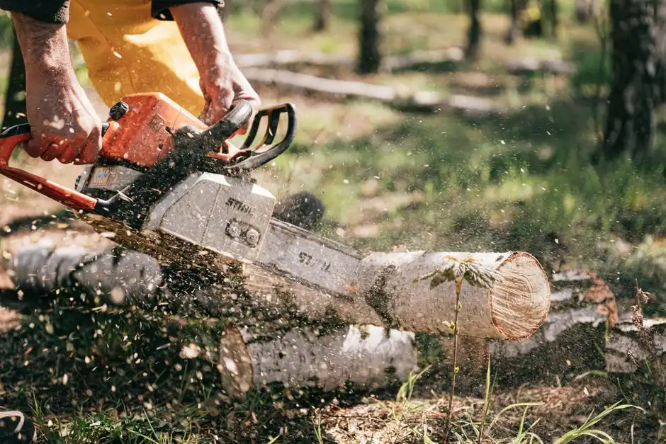 Residential Tree Service