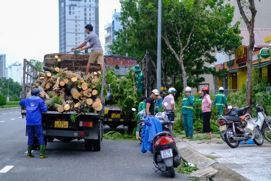 Residential Tree Service