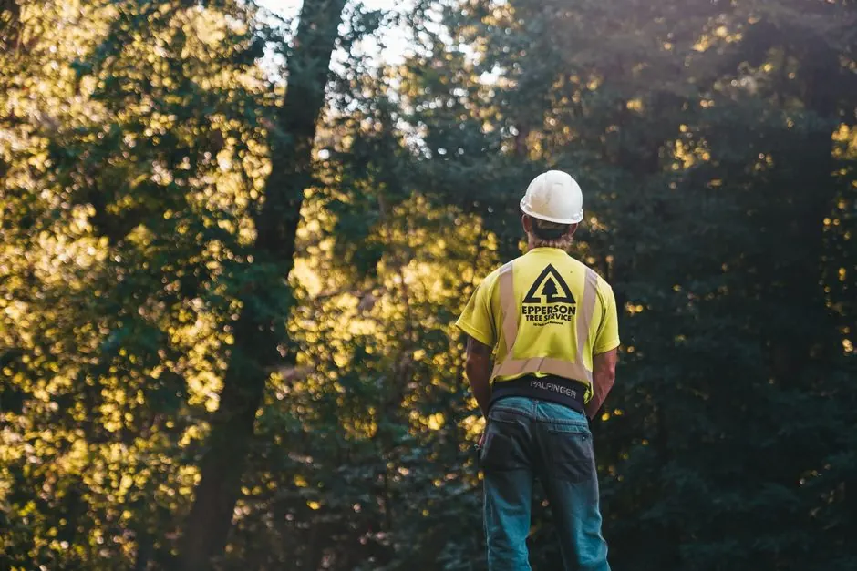 Residential Tree Service